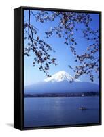 Cherry Blossom with Mount Fuji and Lake Kawaguchi in Background, Fuji-Hakone-Izu National Park, Jap-Dallas and John Heaton-Framed Stretched Canvas