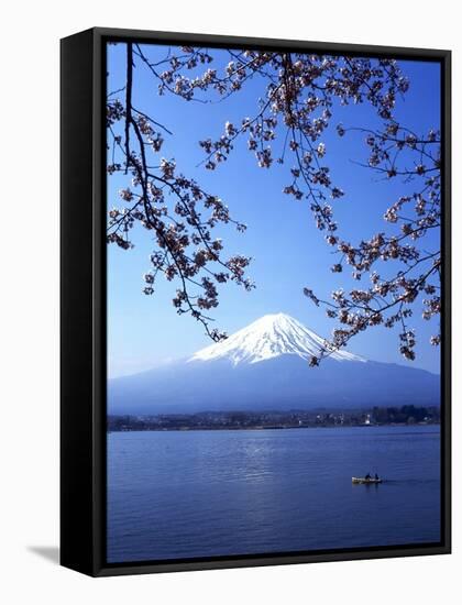 Cherry Blossom with Mount Fuji and Lake Kawaguchi in Background, Fuji-Hakone-Izu National Park, Jap-Dallas and John Heaton-Framed Stretched Canvas