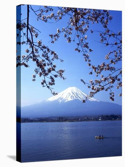 Cherry Blossom with Mount Fuji and Lake Kawaguchi in Background, Fuji-Hakone-Izu National Park, Jap-Dallas and John Heaton-Stretched Canvas