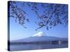 Cherry Blossom with Mount Fuji and Lake Kawaguchi in Background, Fuji-Hakone-Izu National Park, Jap-Dallas and John Heaton-Stretched Canvas