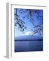 Cherry Blossom with Mount Fuji and Lake Kawaguchi in Background, Fuji-Hakone-Izu National Park, Jap-Dallas and John Heaton-Framed Photographic Print