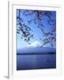 Cherry Blossom with Mount Fuji and Lake Kawaguchi in Background, Fuji-Hakone-Izu National Park, Jap-Dallas and John Heaton-Framed Photographic Print