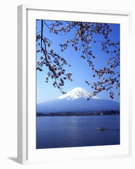 Cherry Blossom with Mount Fuji and Lake Kawaguchi in Background, Fuji-Hakone-Izu National Park, Jap-Dallas and John Heaton-Framed Photographic Print