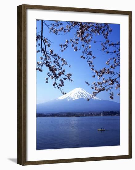 Cherry Blossom with Mount Fuji and Lake Kawaguchi in Background, Fuji-Hakone-Izu National Park, Jap-Dallas and John Heaton-Framed Photographic Print