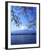 Cherry Blossom with Mount Fuji and Lake Kawaguchi in Background, Fuji-Hakone-Izu National Park, Jap-Dallas and John Heaton-Framed Photographic Print