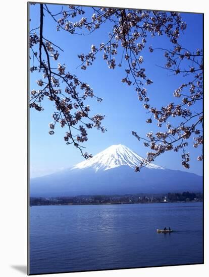 Cherry Blossom with Mount Fuji and Lake Kawaguchi in Background, Fuji-Hakone-Izu National Park, Jap-Dallas and John Heaton-Mounted Photographic Print