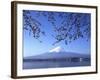 Cherry Blossom with Mount Fuji and Lake Kawaguchi in Background, Fuji-Hakone-Izu National Park, Jap-Dallas and John Heaton-Framed Photographic Print