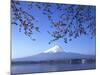 Cherry Blossom with Mount Fuji and Lake Kawaguchi in Background, Fuji-Hakone-Izu National Park, Jap-Dallas and John Heaton-Mounted Photographic Print