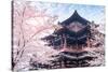 Cherry Blossom with Traditional Chinese Roof in Qing Long Temple,Xi An,China-kenny001-Stretched Canvas