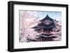 Cherry Blossom with Traditional Chinese Roof in Qing Long Temple,Xi An,China-kenny001-Framed Photographic Print