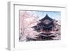 Cherry Blossom with Traditional Chinese Roof in Qing Long Temple,Xi An,China-kenny001-Framed Photographic Print
