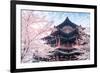 Cherry Blossom with Traditional Chinese Roof in Qing Long Temple,Xi An,China-kenny001-Framed Photographic Print