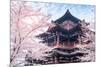 Cherry Blossom with Traditional Chinese Roof in Qing Long Temple,Xi An,China-kenny001-Mounted Photographic Print