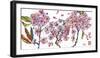 Cherry Blossom-Sofia Perina-Miller-Framed Giclee Print