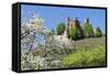 Cherry Blossom-Marcus-Framed Stretched Canvas