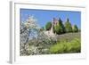 Cherry Blossom-Marcus-Framed Photographic Print