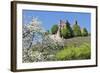 Cherry Blossom-Marcus-Framed Photographic Print