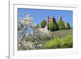 Cherry Blossom-Marcus-Framed Photographic Print