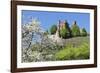 Cherry Blossom-Marcus-Framed Photographic Print