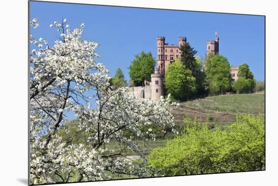 Cherry Blossom-Marcus-Mounted Photographic Print