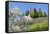 Cherry Blossom-Marcus-Framed Stretched Canvas