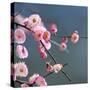 Cherry Blossom-null-Stretched Canvas