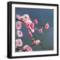 Cherry Blossom-null-Framed Premium Photographic Print