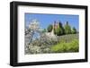 Cherry Blossom-Marcus-Framed Photographic Print