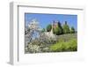 Cherry Blossom-Marcus-Framed Photographic Print