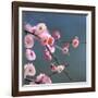 Cherry Blossom-null-Framed Photographic Print