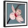 Cherry Blossom-Kate Diamond-Framed Photographic Print