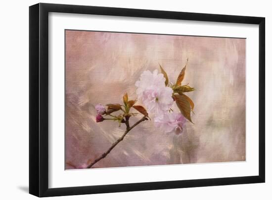 Cherry Blossom-Jai Johnson-Framed Giclee Print
