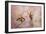 Cherry Blossom-Jai Johnson-Framed Giclee Print