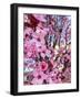 Cherry Blossom-Heidi Bannon-Framed Photo