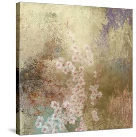 Cherry Blossoms 1-Rick Novak-Stretched Canvas