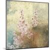 Cherry Blossoms 2-Rick Novak-Mounted Art Print