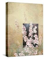 Cherry Blossoms 3-Rick Novak-Stretched Canvas