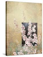 Cherry Blossoms 3-Rick Novak-Stretched Canvas