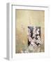 Cherry Blossoms 3-Rick Novak-Framed Art Print