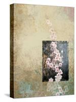 Cherry Blossoms 4-Rick Novak-Stretched Canvas