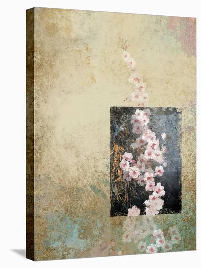 Cherry Blossoms 4-Rick Novak-Stretched Canvas