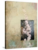 Cherry Blossoms 4-Rick Novak-Stretched Canvas