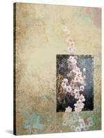 Cherry Blossoms 4-Rick Novak-Stretched Canvas