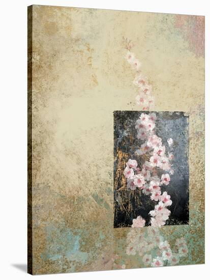 Cherry Blossoms 4-Rick Novak-Stretched Canvas