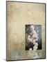 Cherry Blossoms 4-Rick Novak-Mounted Art Print