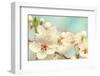 Cherry Blossoms Against a Blue Sky-egal-Framed Premium Photographic Print