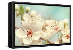 Cherry Blossoms Against a Blue Sky-egal-Framed Stretched Canvas