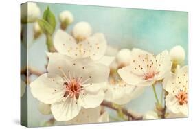 Cherry Blossoms Against a Blue Sky-egal-Stretched Canvas
