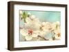 Cherry Blossoms Against a Blue Sky-egal-Framed Photographic Print