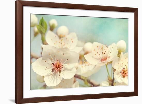 Cherry Blossoms Against a Blue Sky-egal-Framed Photographic Print